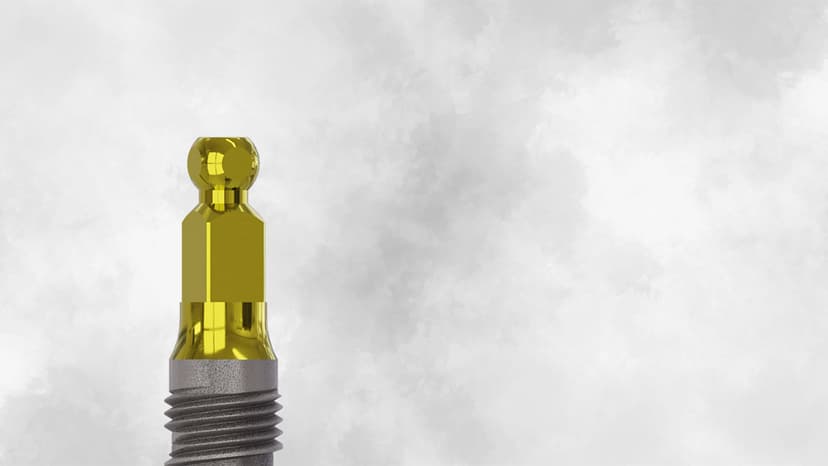 Champions Tête Boule