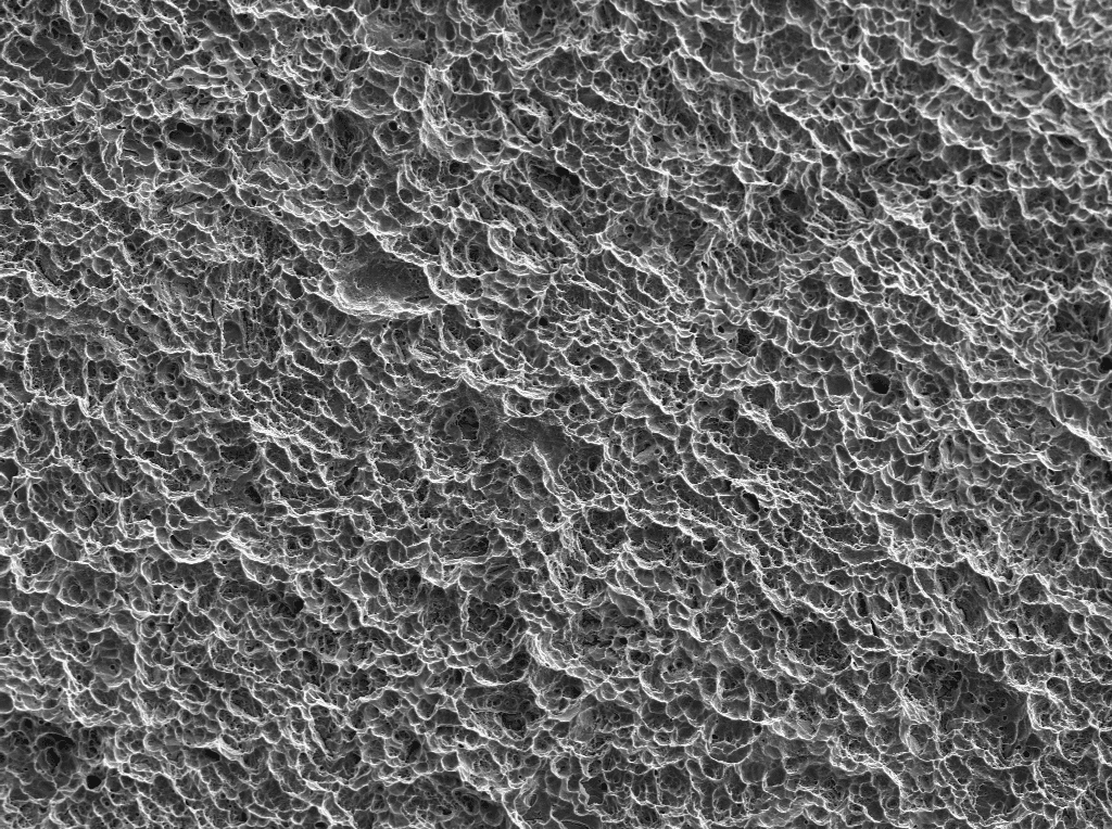 Surface de l'implant Champions (R)Evolution