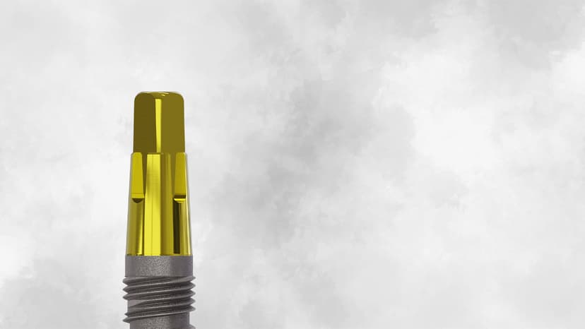 Champions Tête Carré