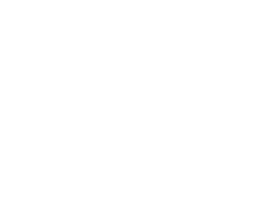 VIP-ZM e.V.